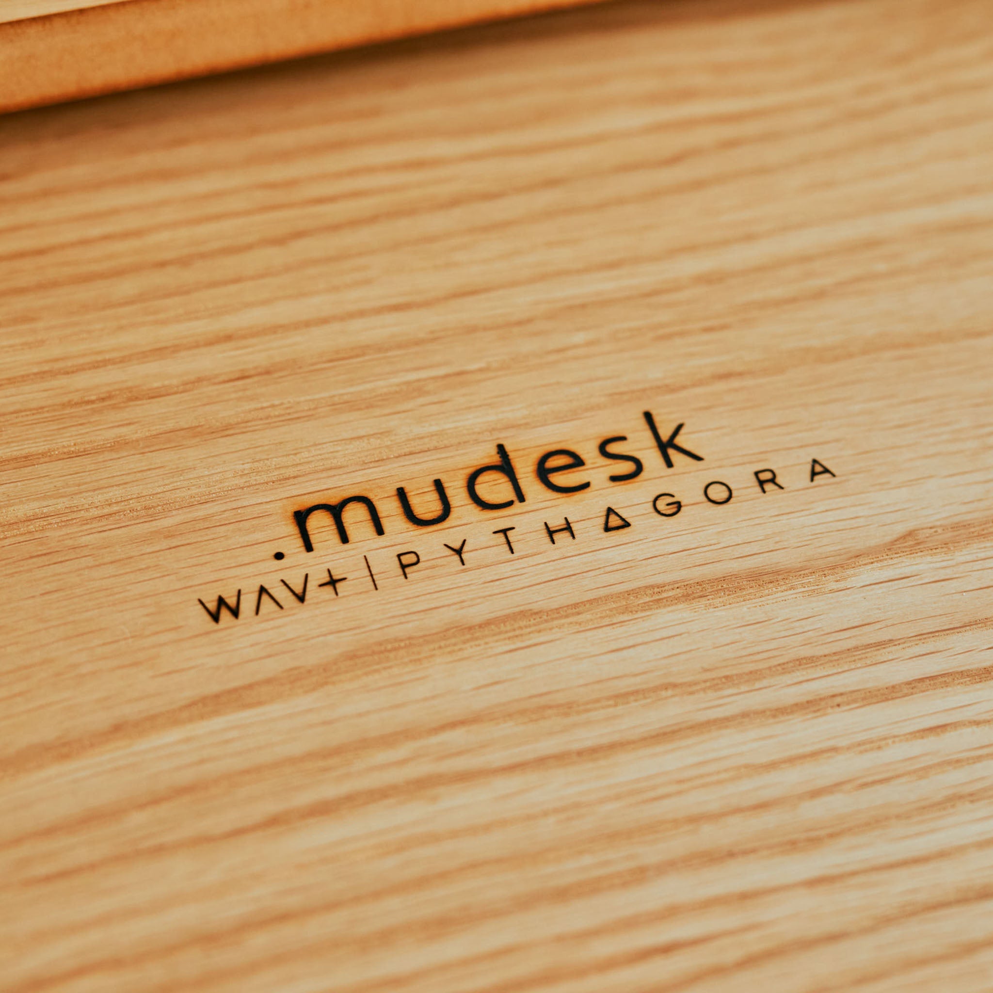 .mudesk 3